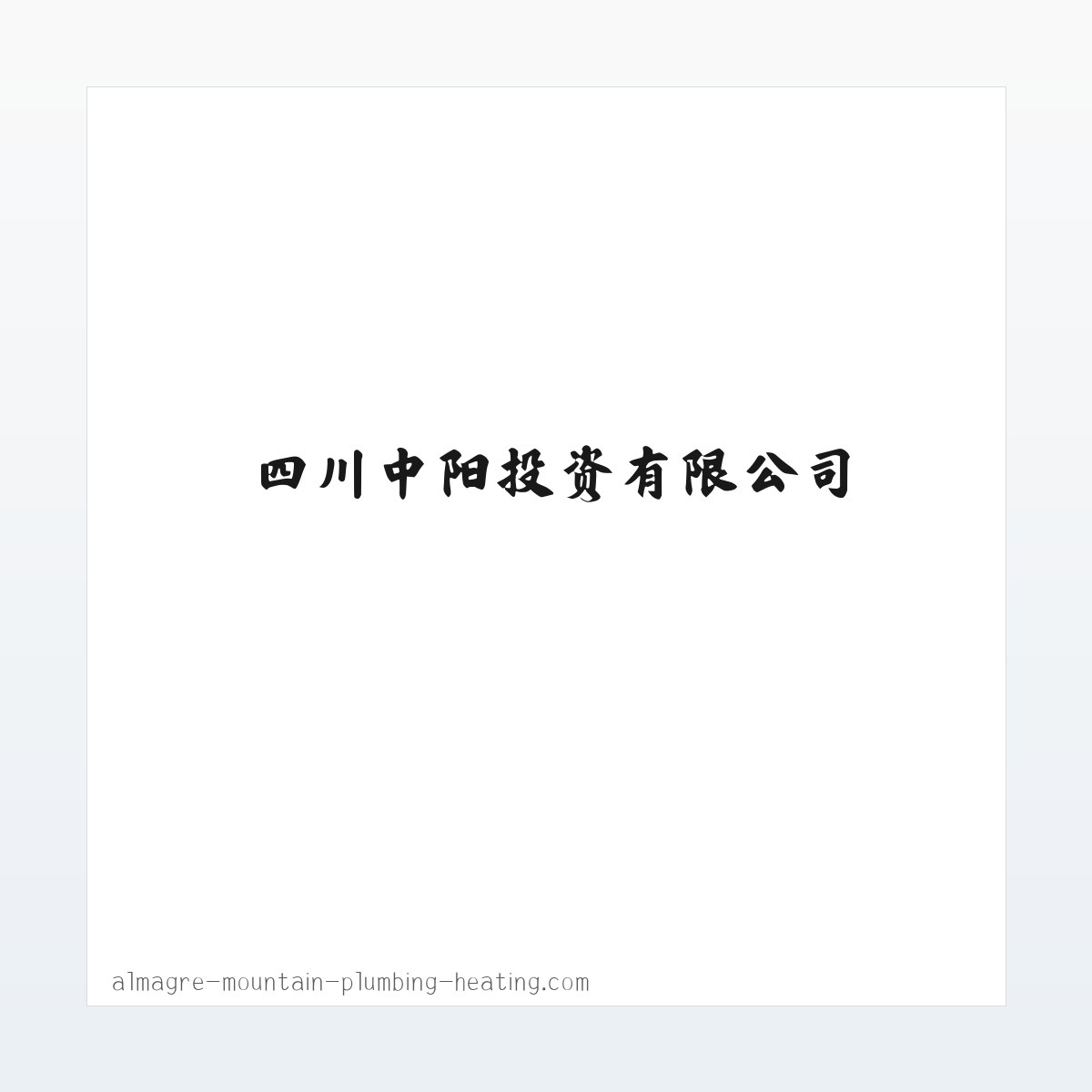 四川中阳投资有限公司 方图